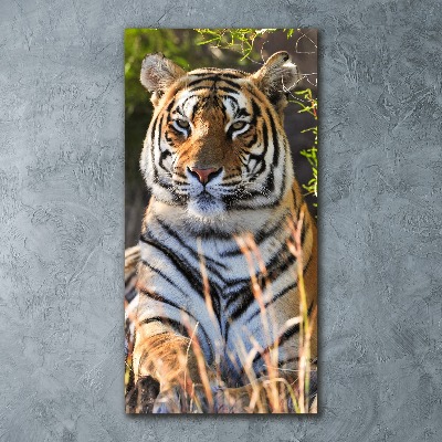 Tableau verre acrylique Tigre