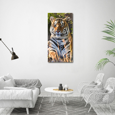 Tableau verre acrylique Tigre