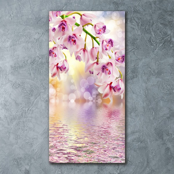 Tableau verre acrylique Orchidée