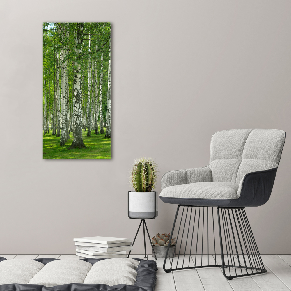 Tableau en acrylique Les forêts de bouleaux