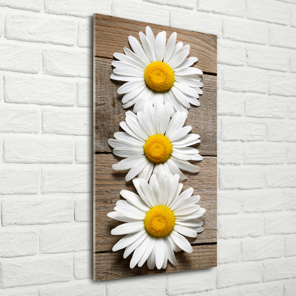 Tableau en acrylique Camomille sur bois