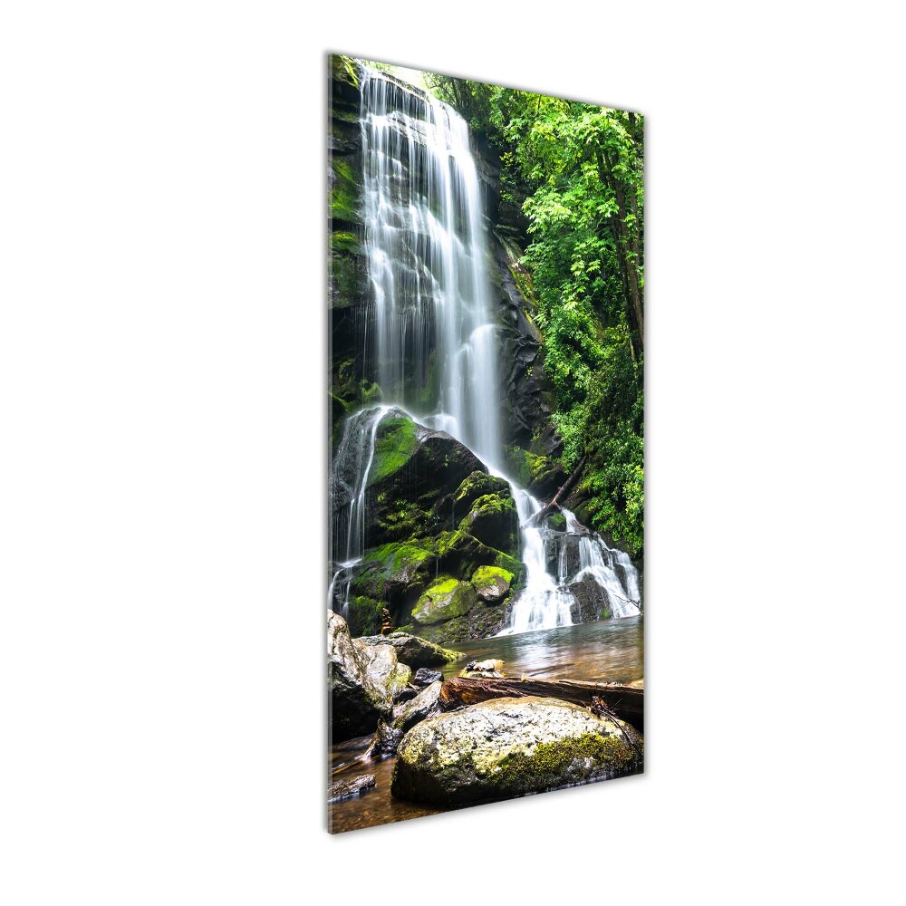 Tableau verre acrylique Cascade dans la jungle