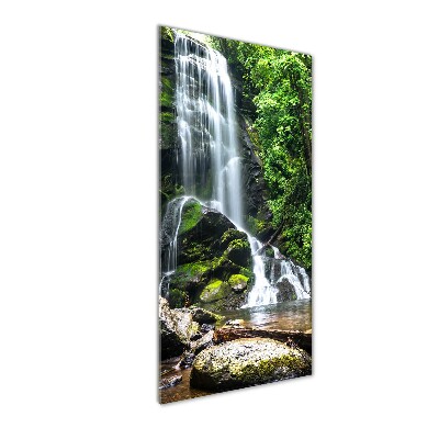 Tableau verre acrylique Cascade dans la jungle