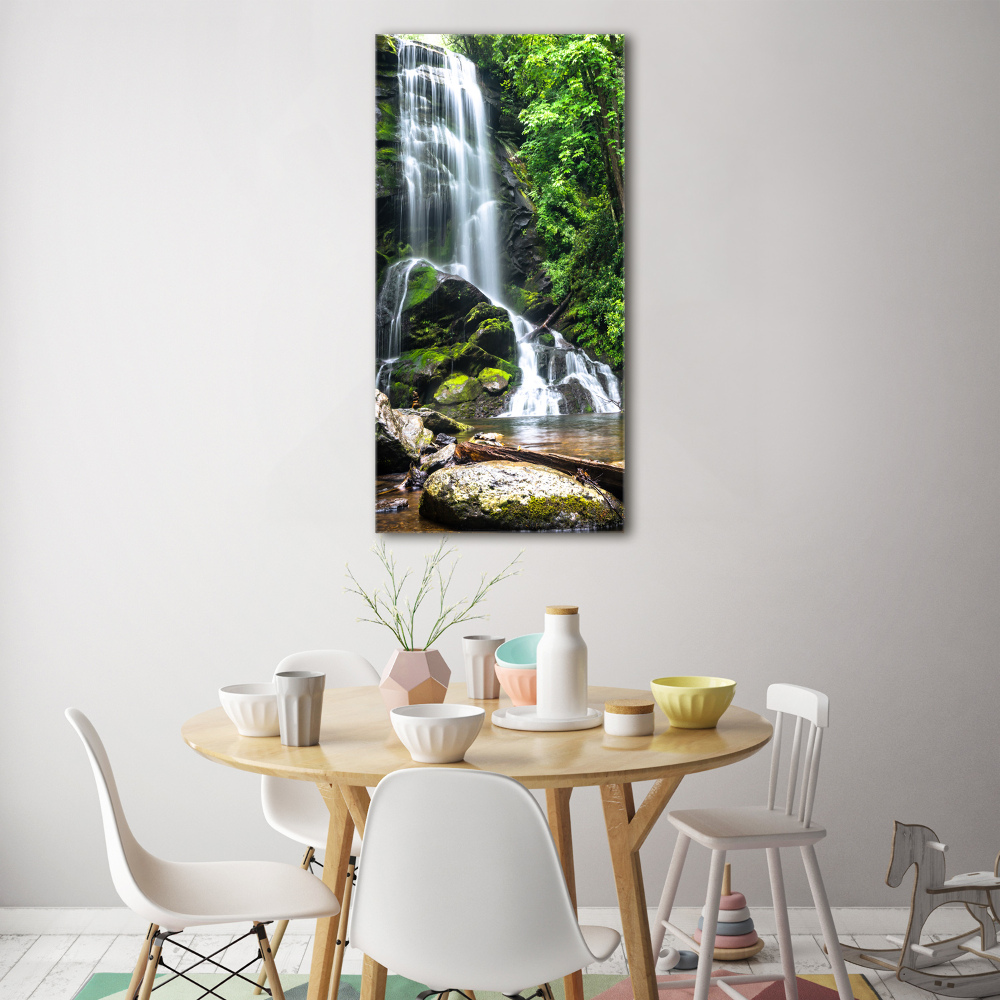 Tableau verre acrylique Cascade dans la jungle