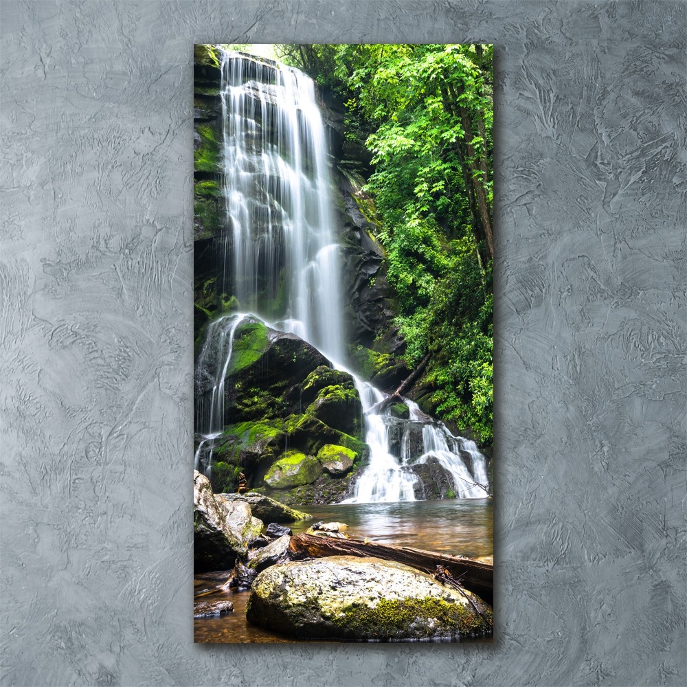 Tableau verre acrylique Cascade dans la jungle