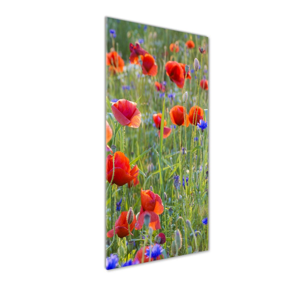 Tableau sur verre acrylique Fleurs de coquelicots rouges