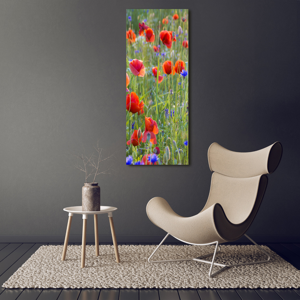 Tableau sur verre acrylique Fleurs de coquelicots rouges