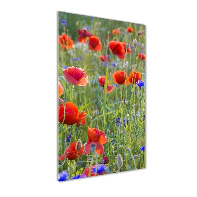 Tableau sur verre acrylique Fleurs de coquelicots rouges