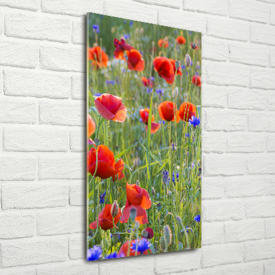 Tableau sur verre acrylique Fleurs de coquelicots rouges