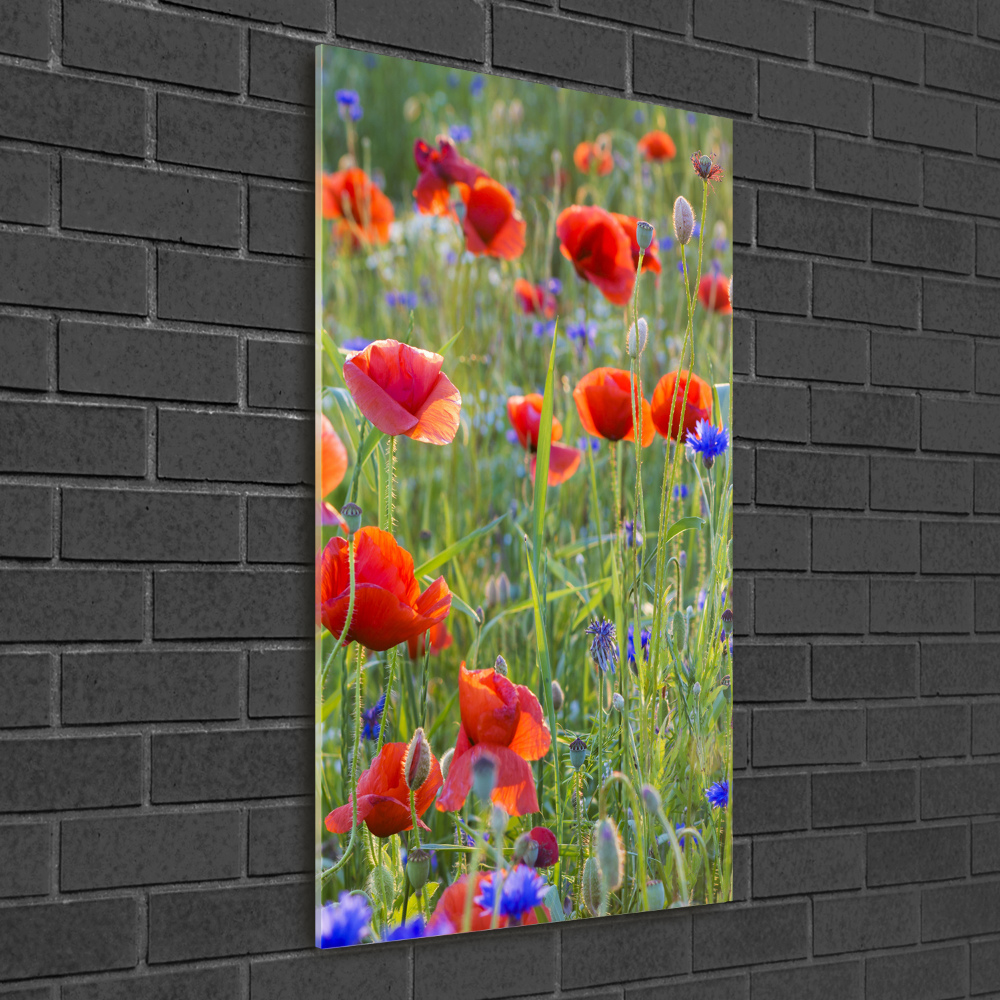 Tableau sur verre acrylique Fleurs de coquelicots rouges