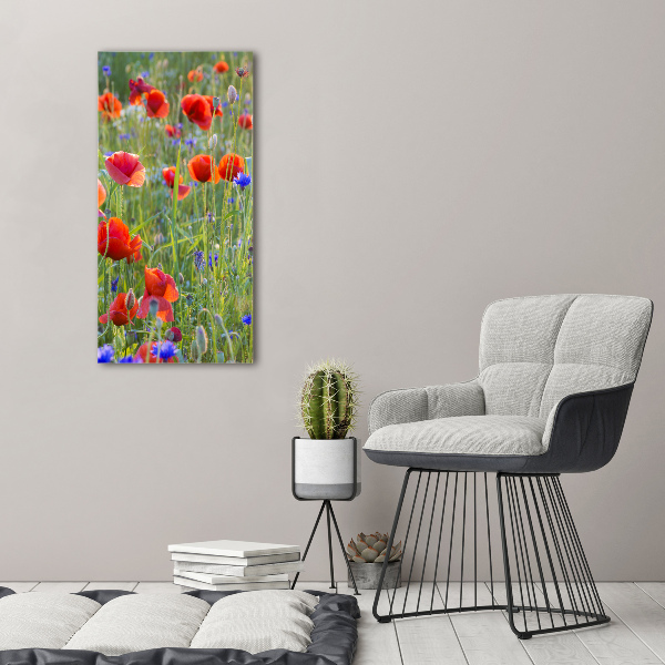 Tableau sur verre acrylique Fleurs de coquelicots rouges