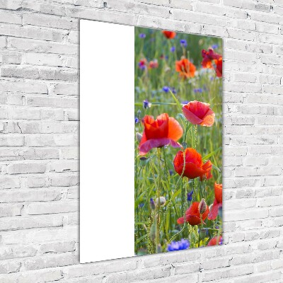 Tableau sur verre acrylique Fleurs de coquelicots rouges