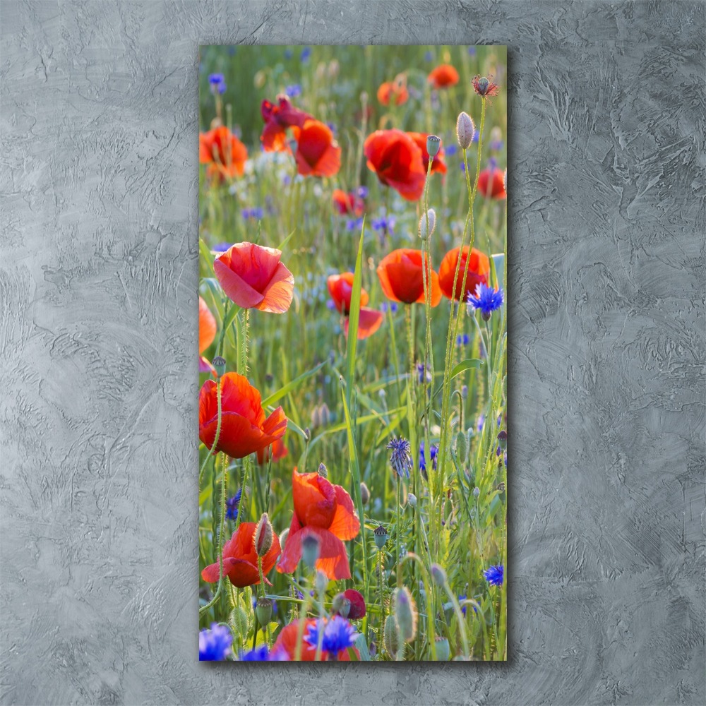 Tableau sur verre acrylique Fleurs de coquelicots rouges