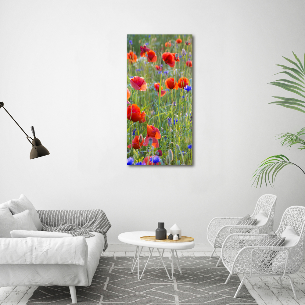 Tableau sur verre acrylique Fleurs de coquelicots rouges