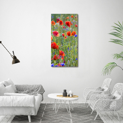 Tableau sur verre acrylique Fleurs de coquelicots rouges