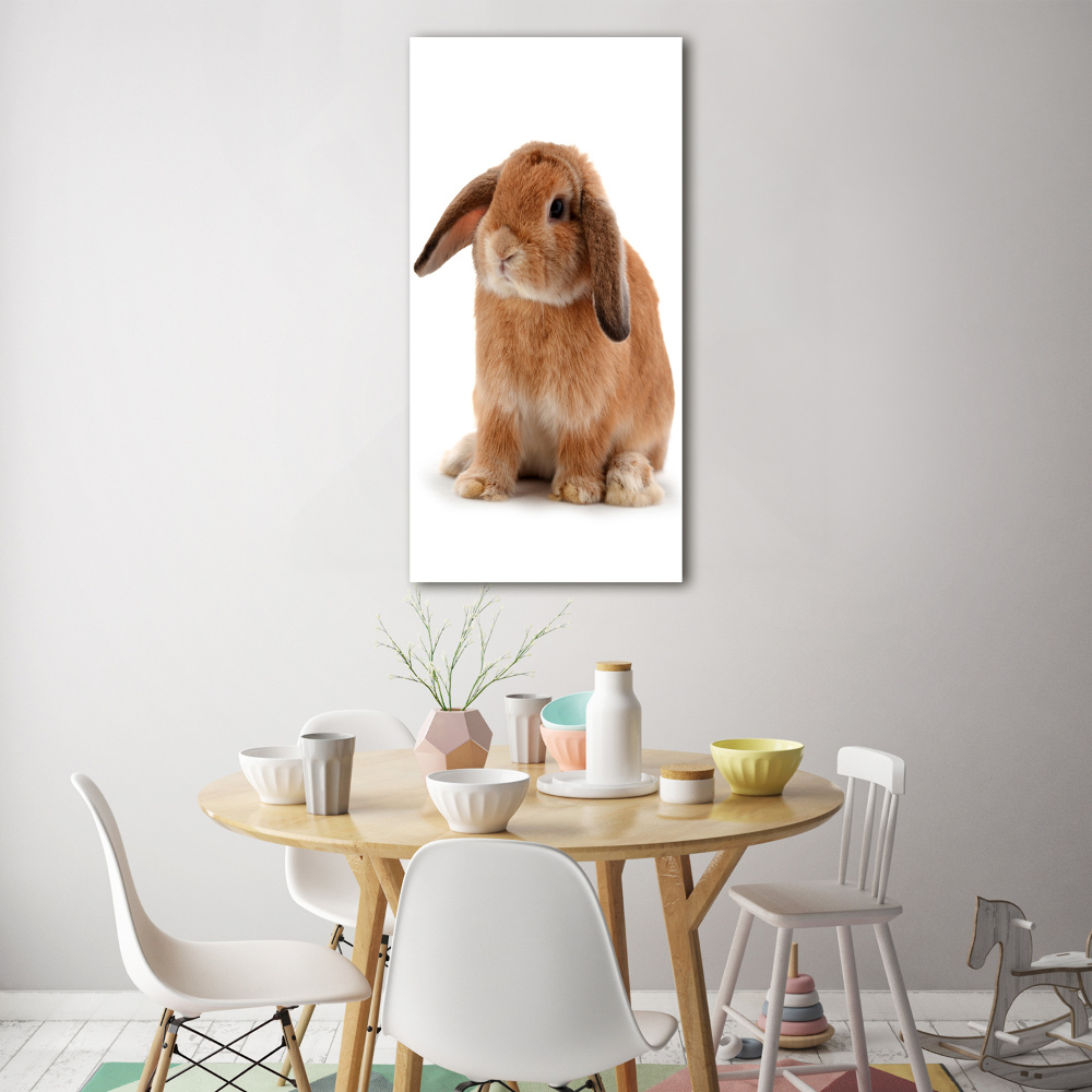 Acrylique tableau Lapin