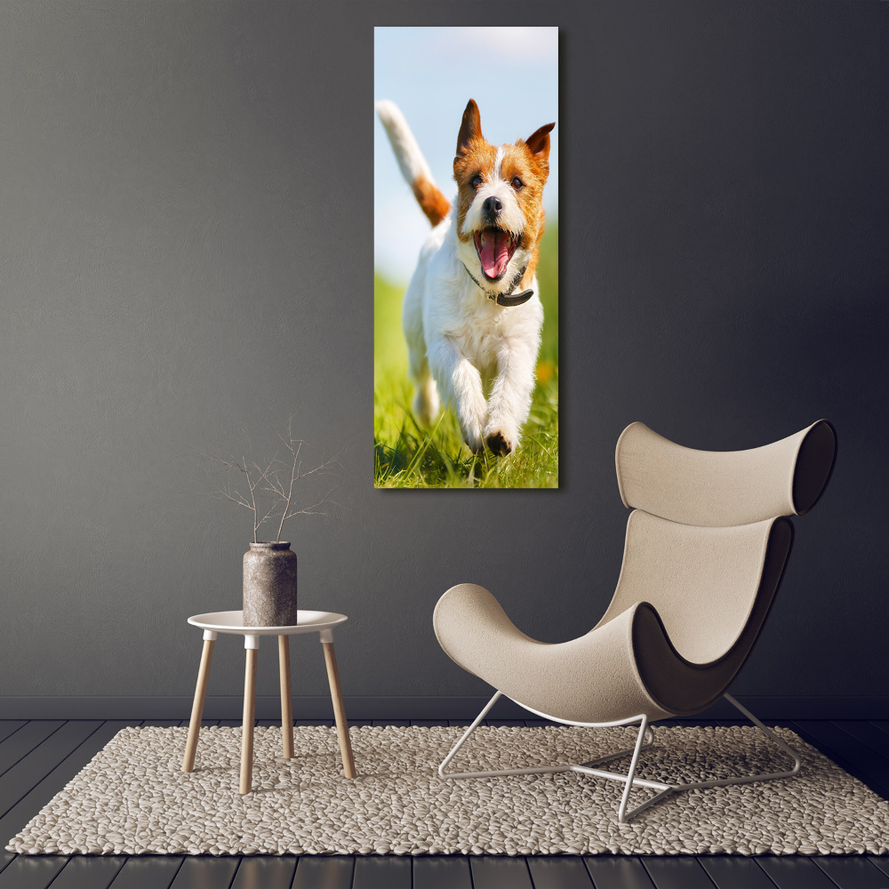 Tableau acrylique Chien Jack Russell