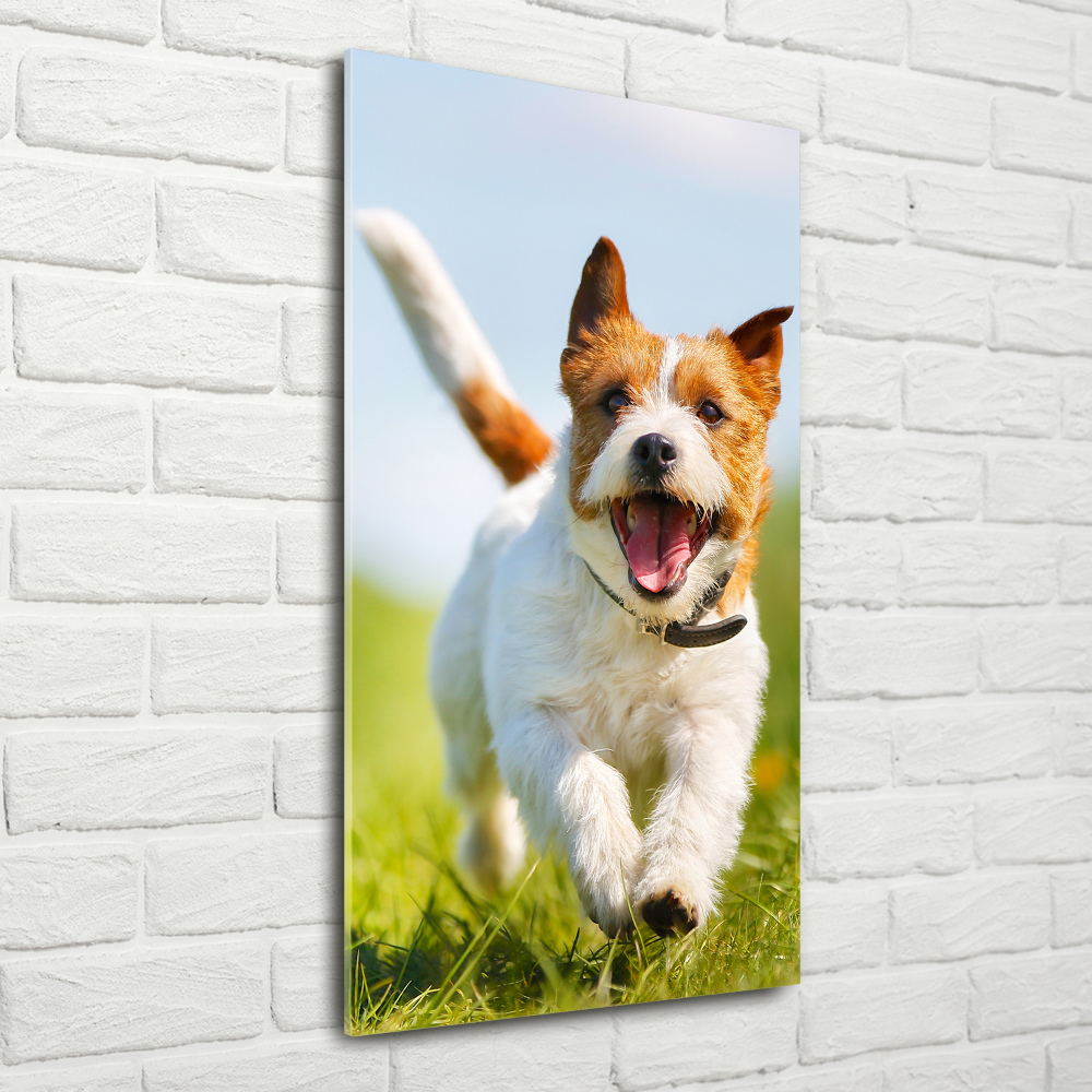 Tableau acrylique Chien Jack Russell