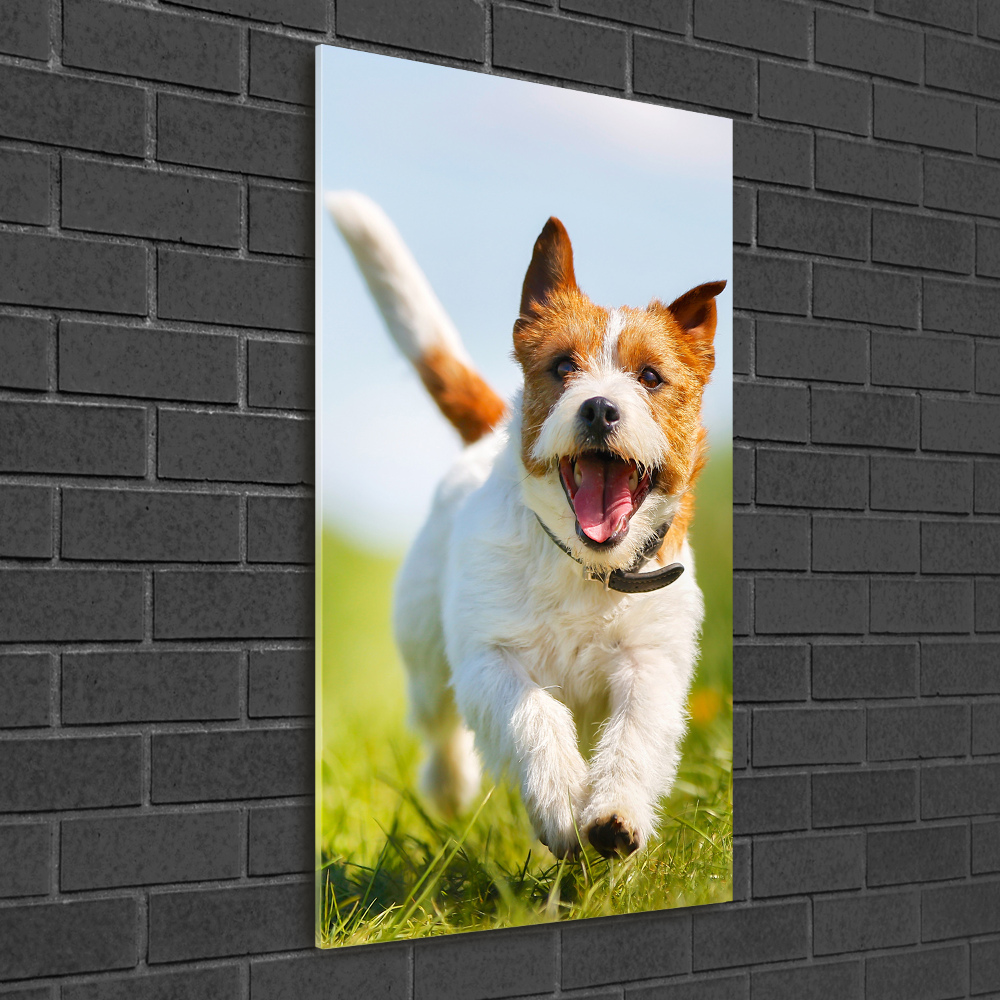 Tableau acrylique Chien Jack Russell