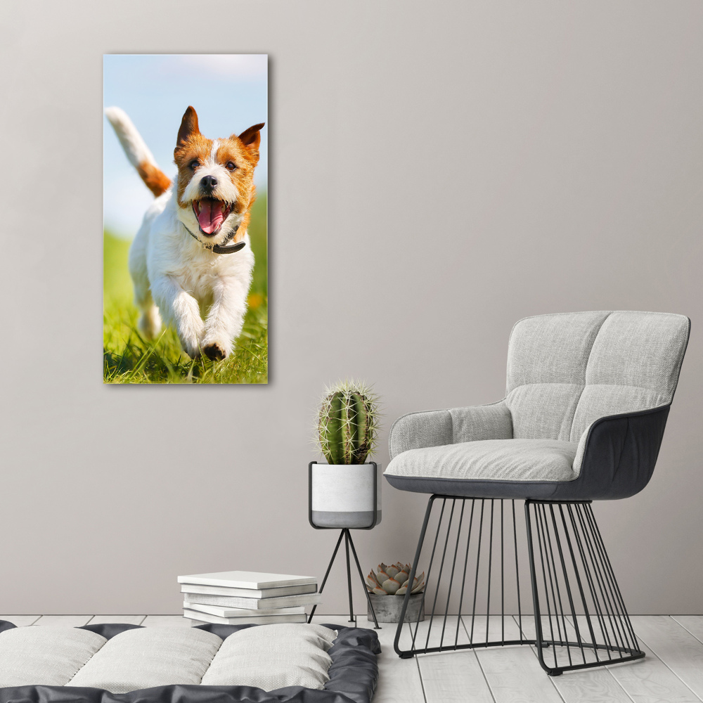 Tableau acrylique Chien Jack Russell