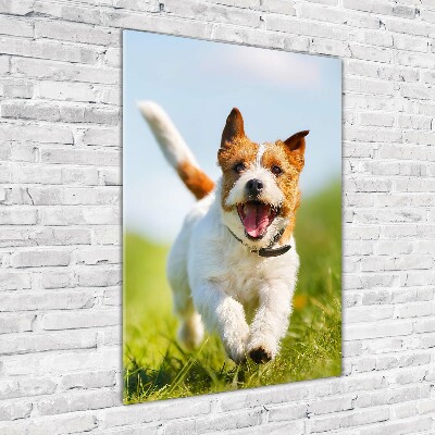 Tableau acrylique Chien Jack Russell