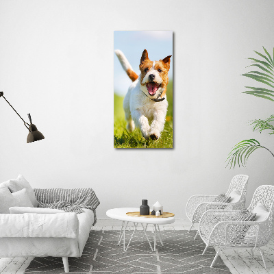 Tableau acrylique Chien Jack Russell