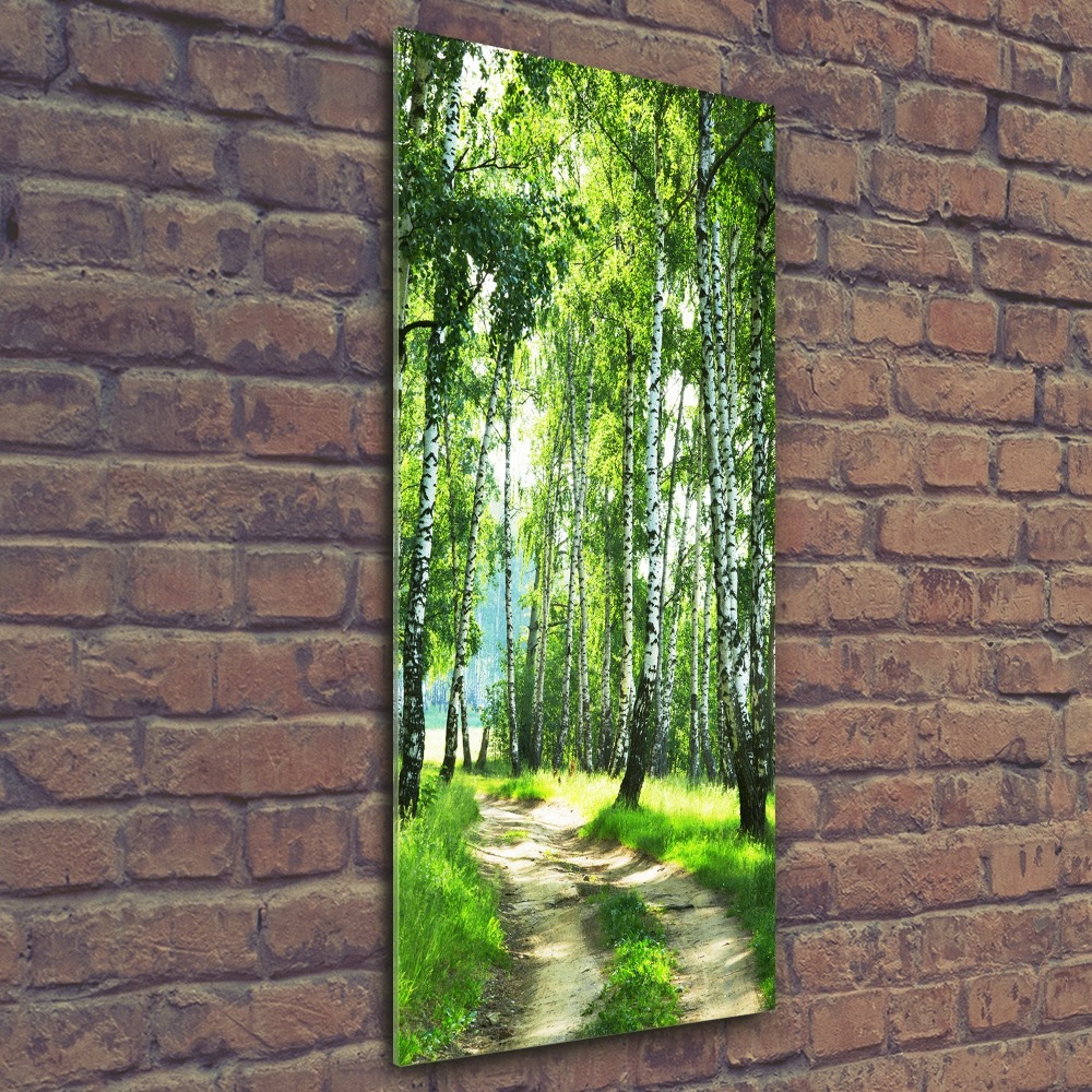 Tableau sur verre acrylique Les forêts de bouleaux