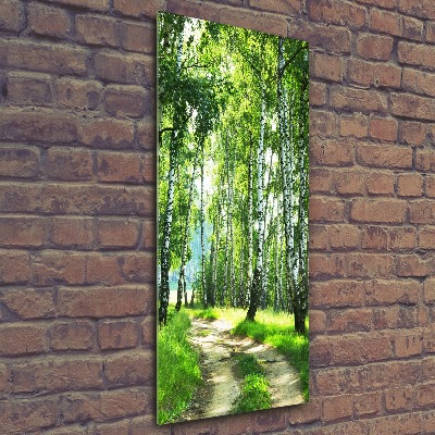 Tableau sur verre acrylique Les forêts de bouleaux