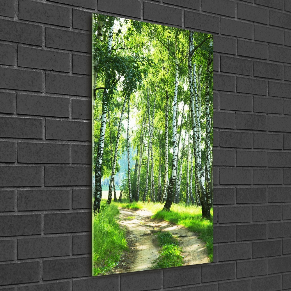 Tableau sur verre acrylique Les forêts de bouleaux