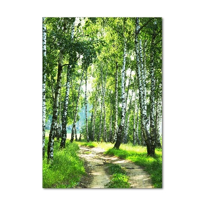 Tableau sur verre acrylique Les forêts de bouleaux