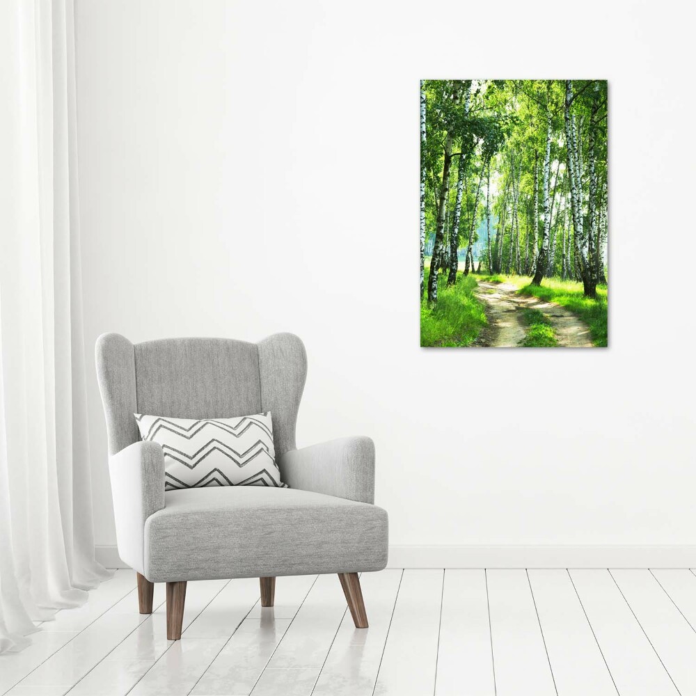 Tableau sur verre acrylique Les forêts de bouleaux