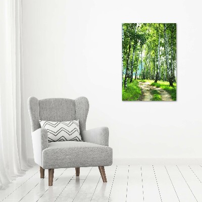 Tableau sur verre acrylique Les forêts de bouleaux