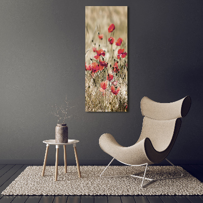 Tableau verre acrylique Fleurs des champs coquelicots rouges