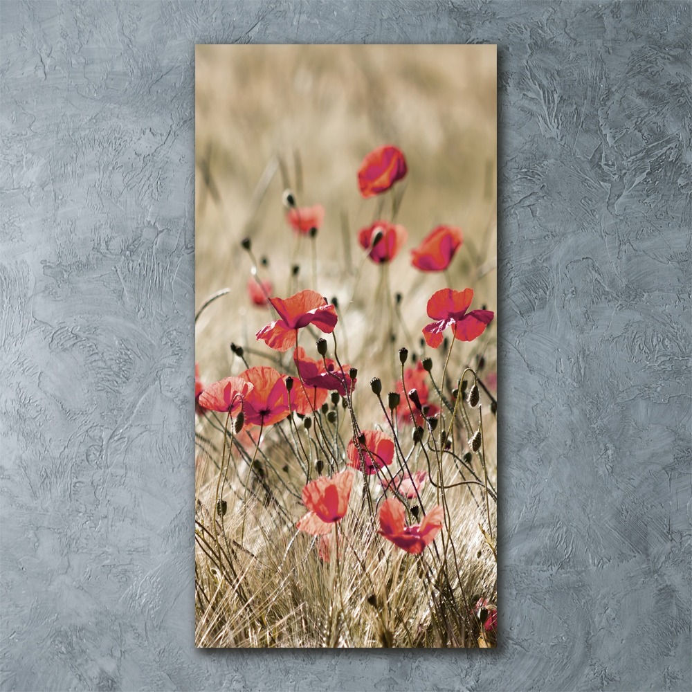 Tableau verre acrylique Fleurs des champs coquelicots rouges