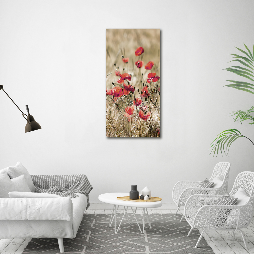 Tableau verre acrylique Fleurs des champs coquelicots rouges