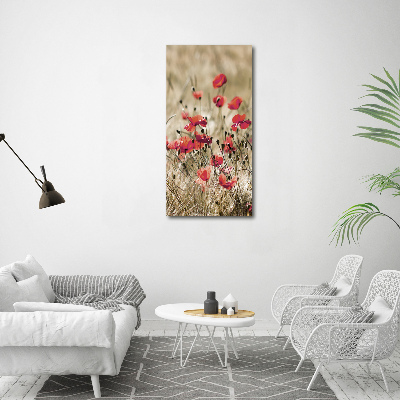 Tableau verre acrylique Fleurs des champs coquelicots rouges