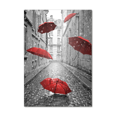 Tableau verre acrylique Parapluie France