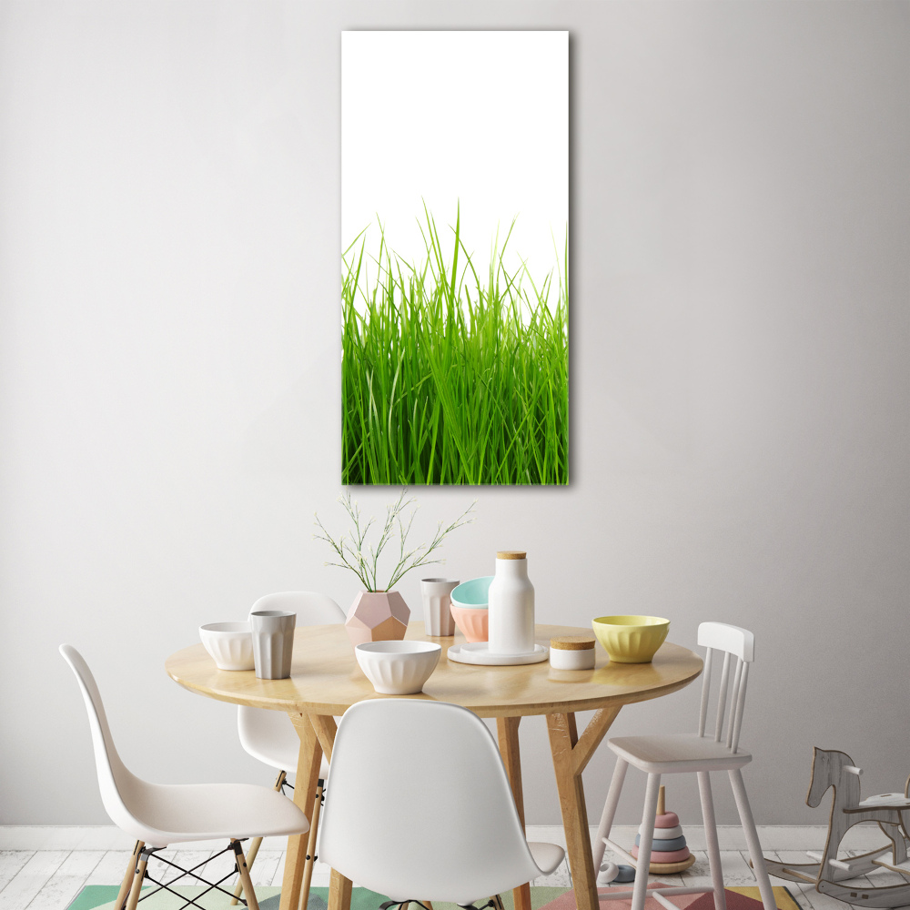 Tableau sur verre acrylique Herbe verte