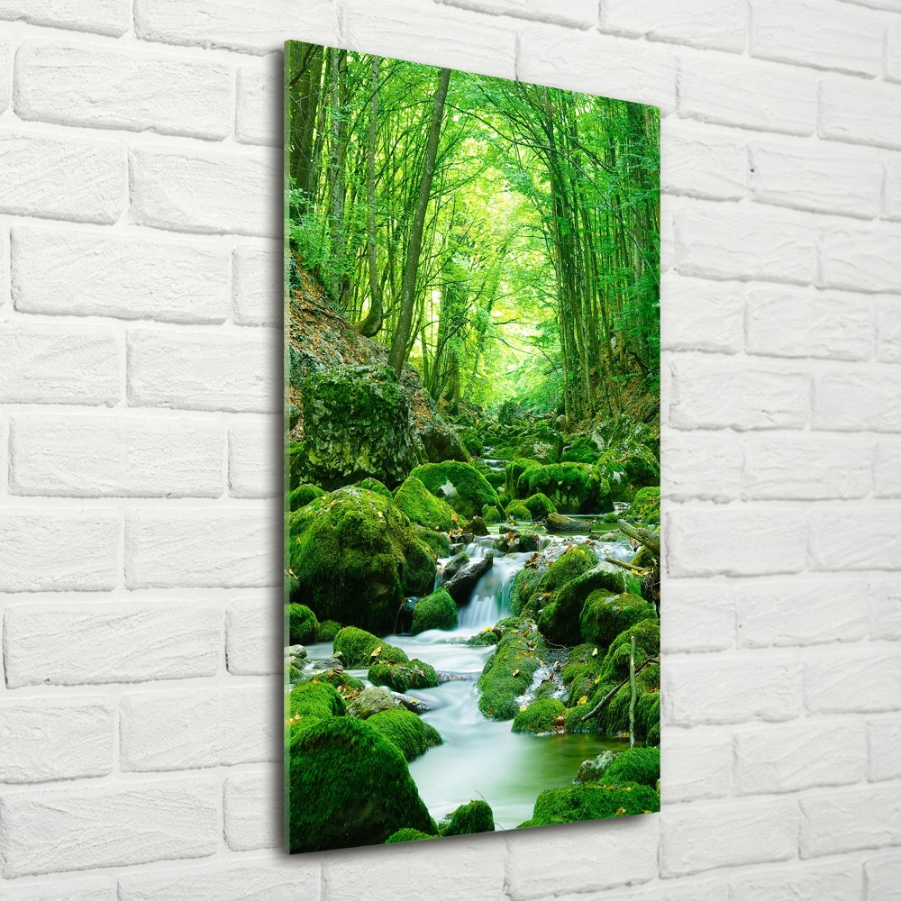 Acrylique tableau Ruisseau dans la jungle