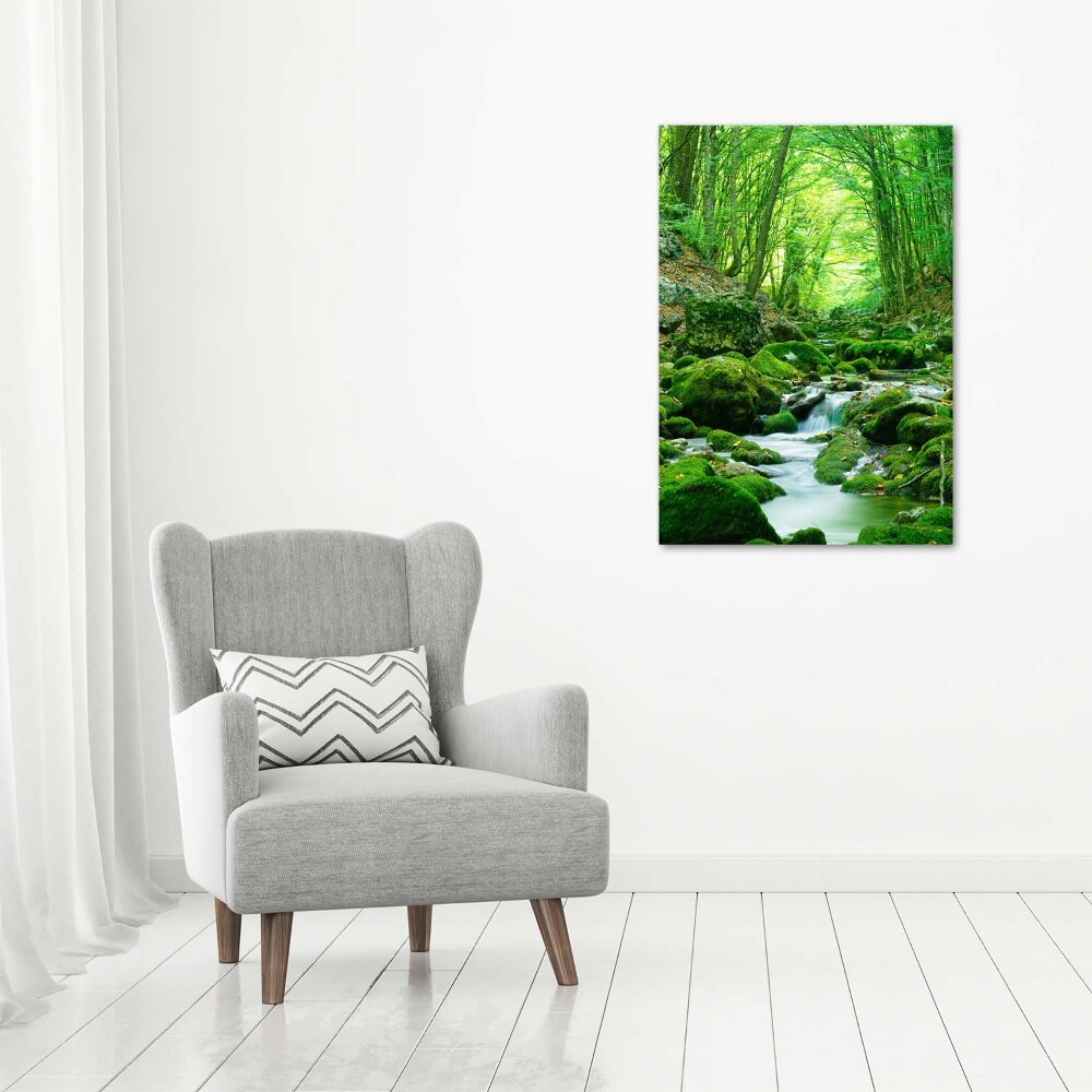 Acrylique tableau Ruisseau dans la jungle