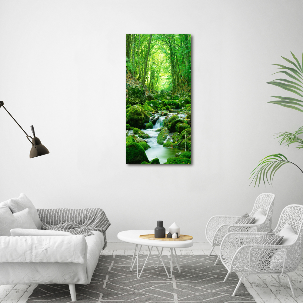 Acrylique tableau Ruisseau dans la jungle