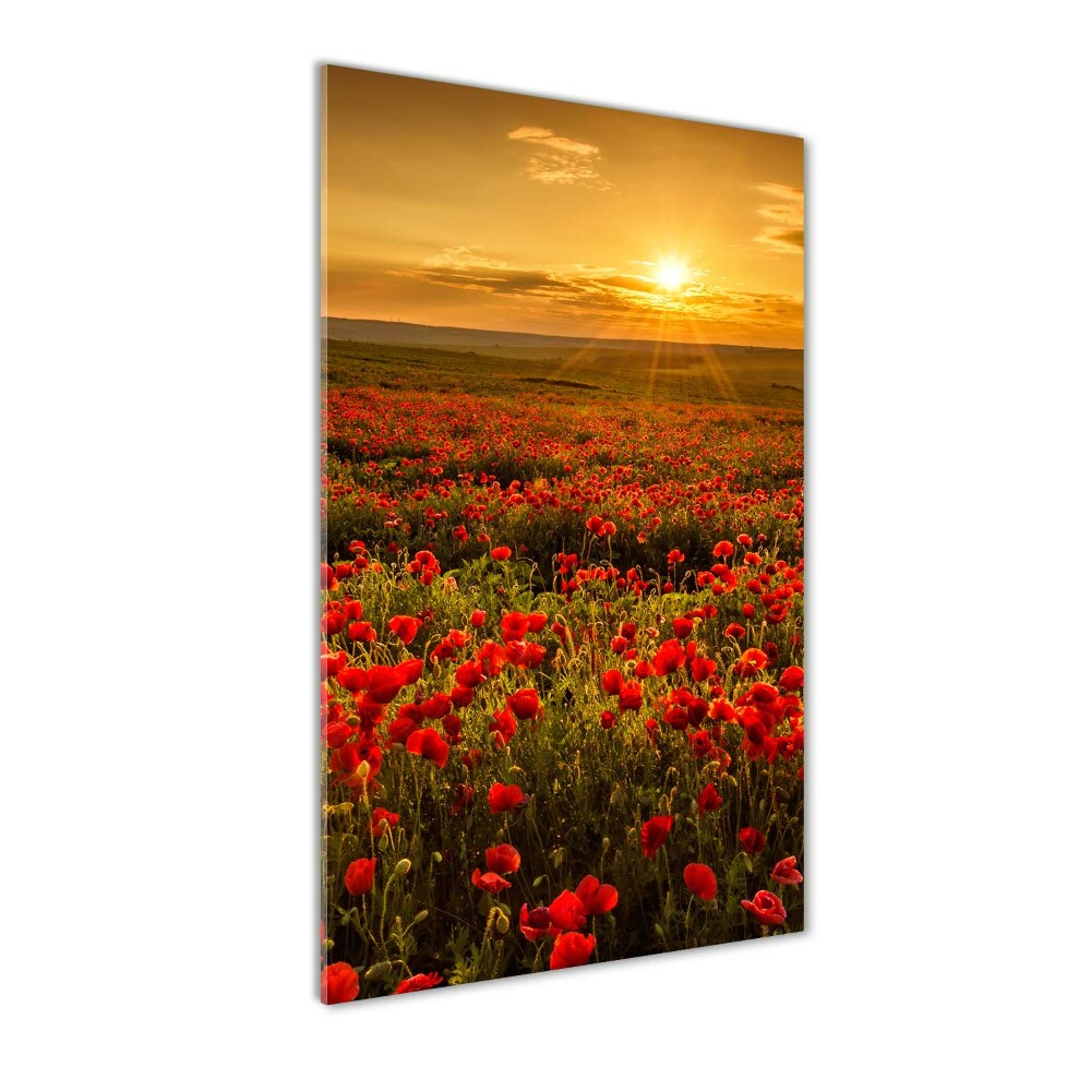 Tableau verre acrylique Champ de coquelicots