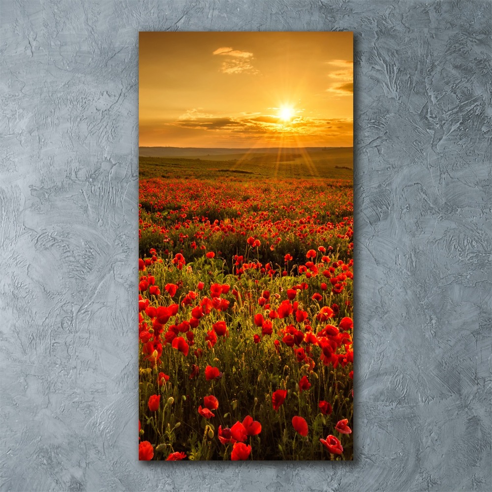 Tableau verre acrylique Champ de coquelicots