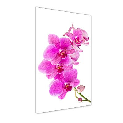 Tableau verre acrylique Orchidée rose