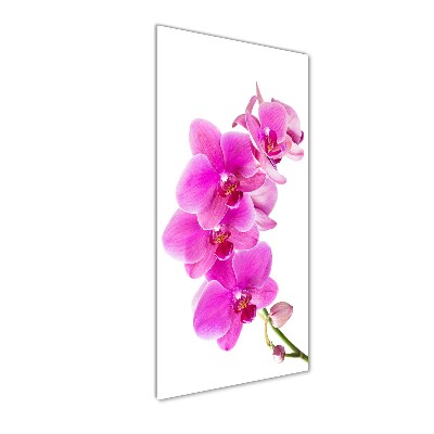 Tableau verre acrylique Orchidée rose