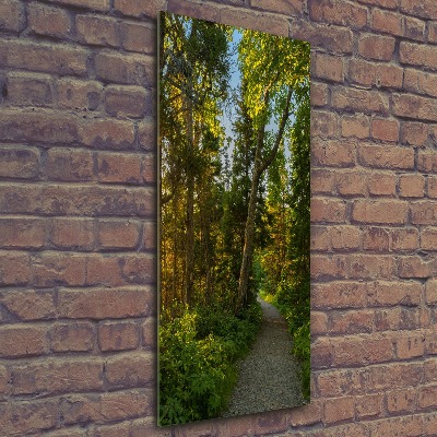 Tableau sur verre acrylique Un chemin dans la forêt