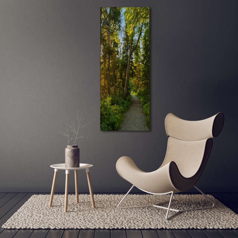 Tableau sur verre acrylique Un chemin dans la forêt