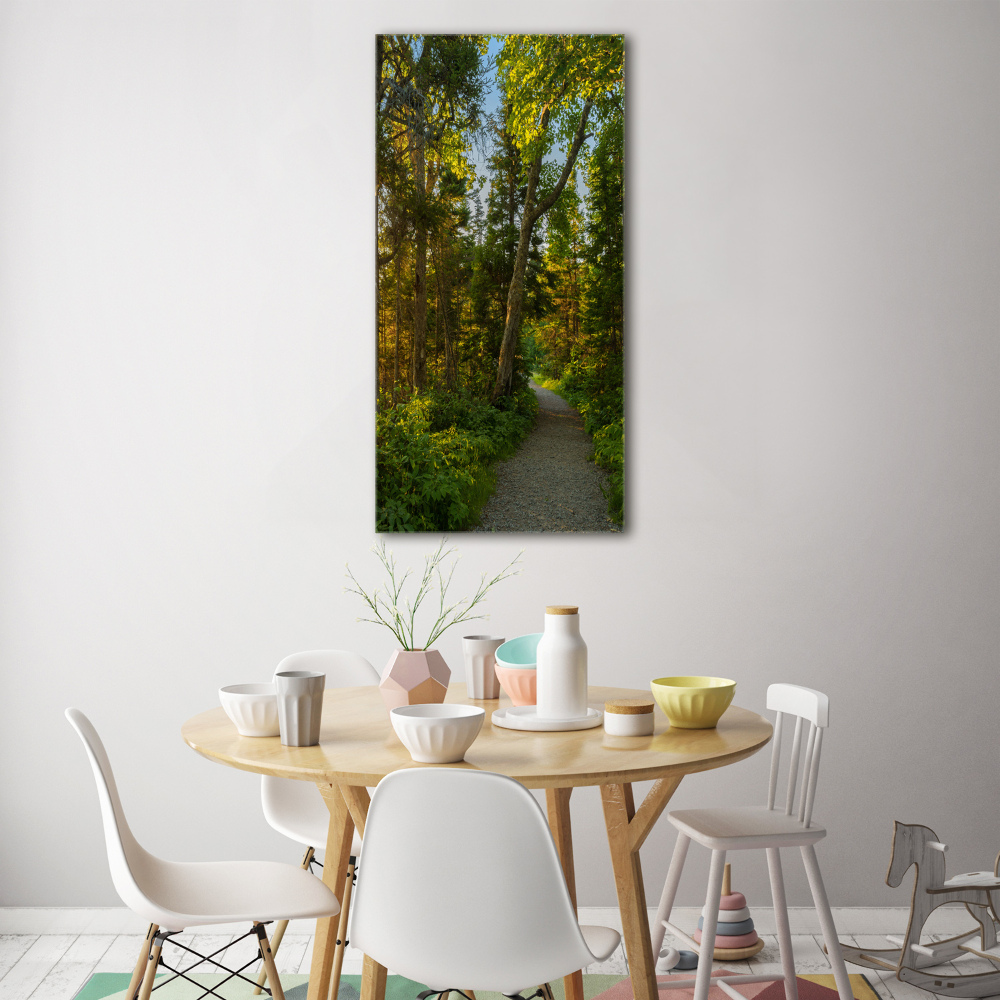 Tableau sur verre acrylique Un chemin dans la forêt