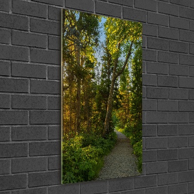 Tableau sur verre acrylique Un chemin dans la forêt