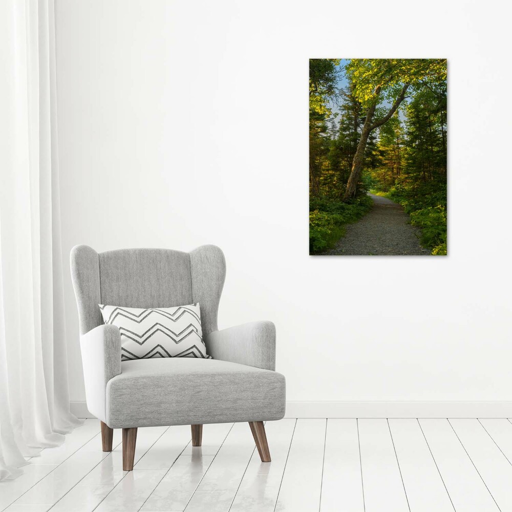 Tableau sur verre acrylique Un chemin dans la forêt